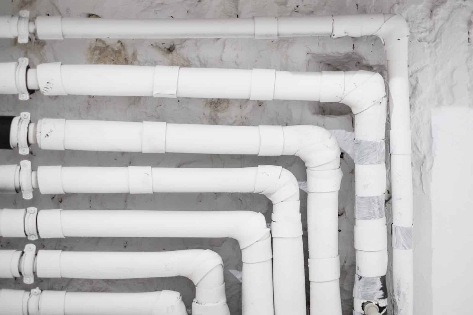 I fattori che innescano la proliferazione del batterio Legionella